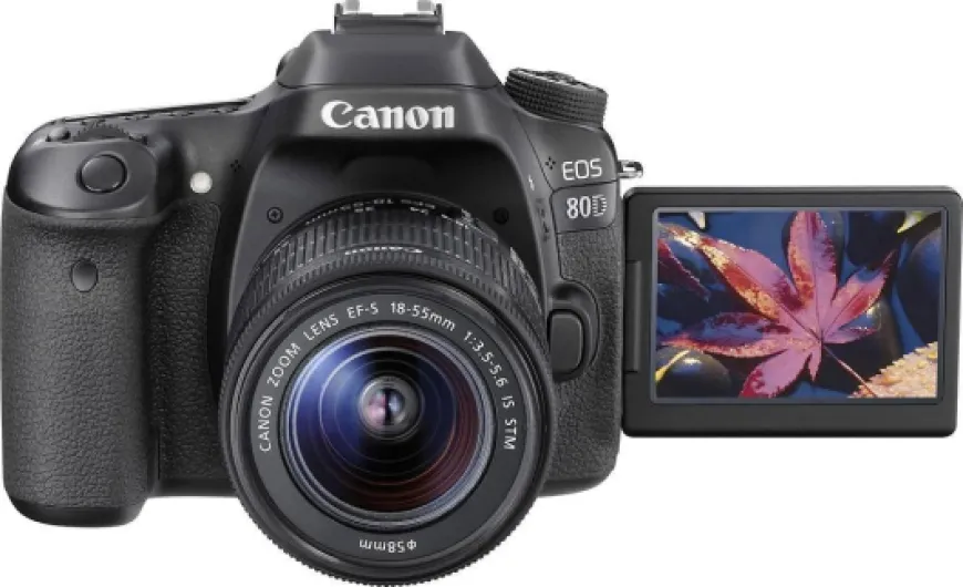 61atvZvrarL._AC_SL1000_