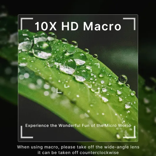 71zB3Fu7BzL._AC_SL1200_