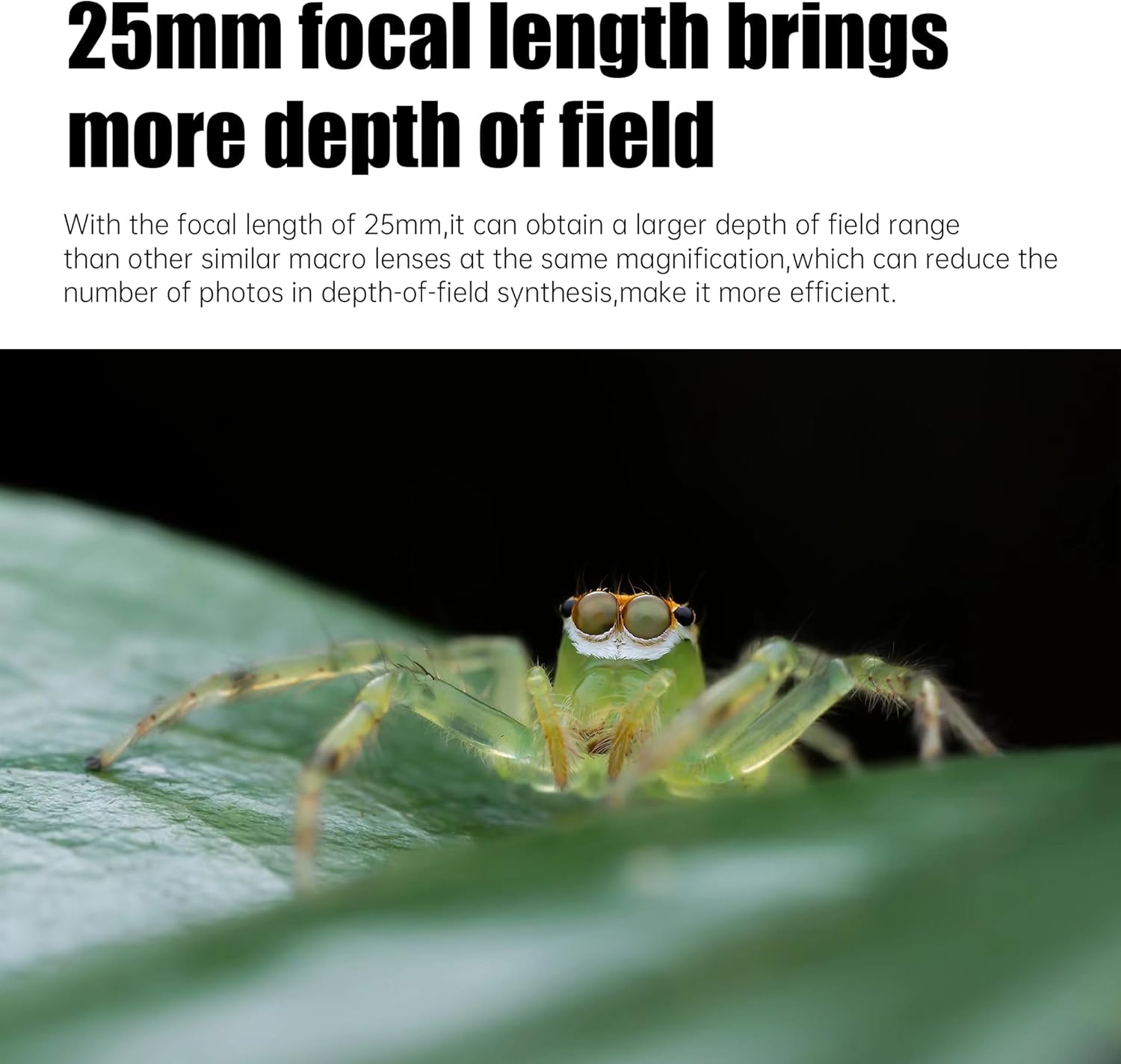 Objectif Ultra Macro 25 mm F2.8 2X-5X, Mise au Point Manuelle Plein Format, Compatible avec Les appareils Photo sans Miroir Sony E Mount A7, A9, NEX-3, NEX-5, NEX-7, etc - for Sony E