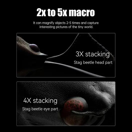 71pGuKckDyL._AC_SL1500_