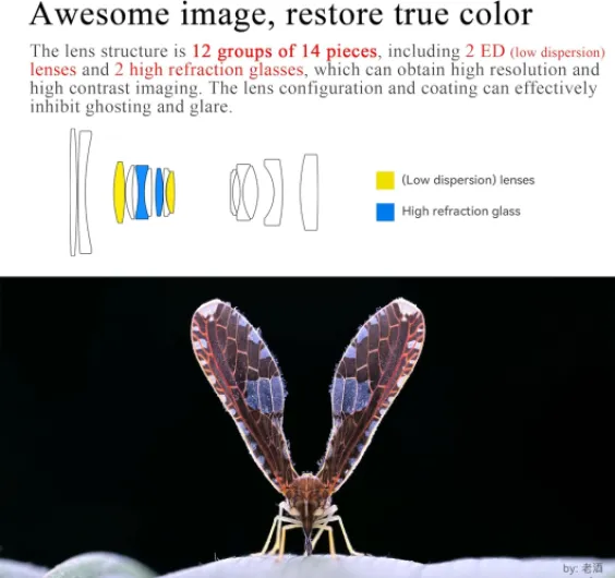 71IsOrWIrvL._AC_SL1500_