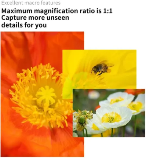 61JTiSaVwqL._AC_SL1000_