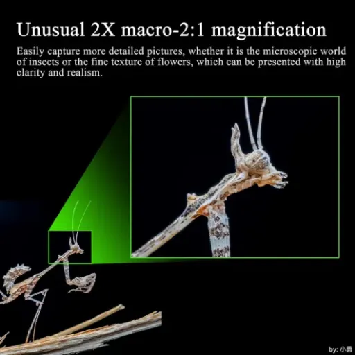 Test 7artisans Objectif 60 mm F2.8 Macro : un objectif macro qui fait le job