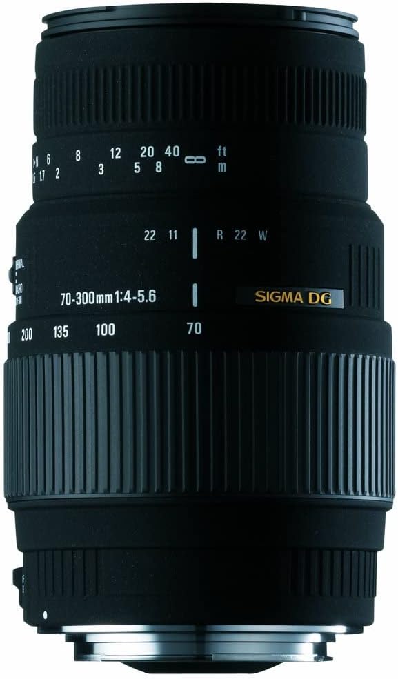 Sigma Objectif Macro 70-300 mm F4-5,6 DG APO motorisé - Monture Nikon