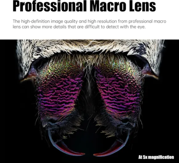 81FcyEBevYL._AC_SL1500_