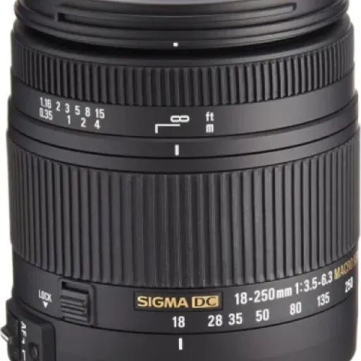 Test Sigma Objectif Macro 18-250 mm : L'objectif polyvalent pour Nikon qui en fait beaucoup