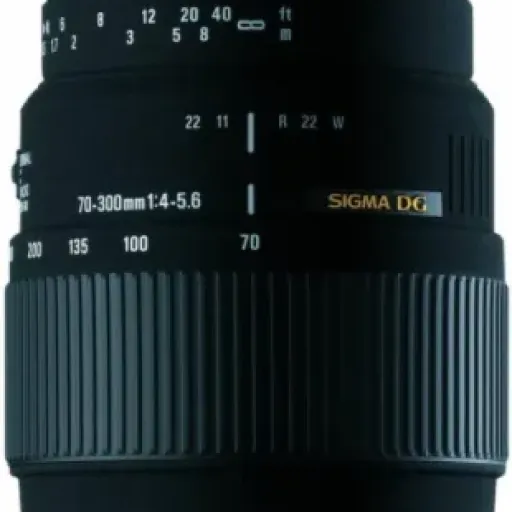Test Sigma Objectif Macro 70-300 mm F4-5,6 DG APO : le zoom qui fait le job sans prétention