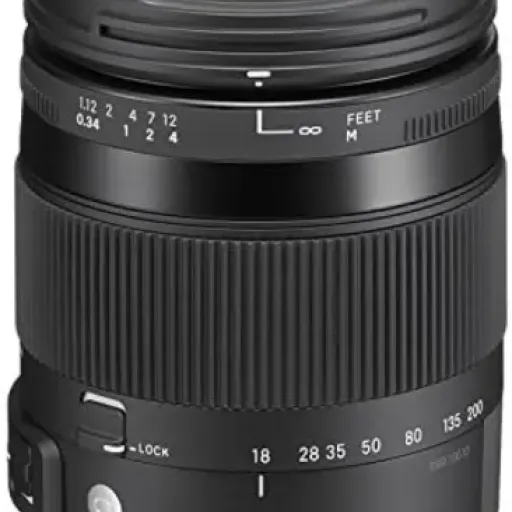 Test Sigma Objectif Macro 18-200 mm : le zoom polyvalent pour Nikon sans chichis