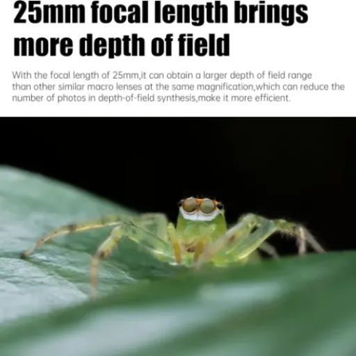 Test AstrHori Objectif Ultra Macro 25 mm F2.8 : un choix simple pour les amateurs de macrophotographie