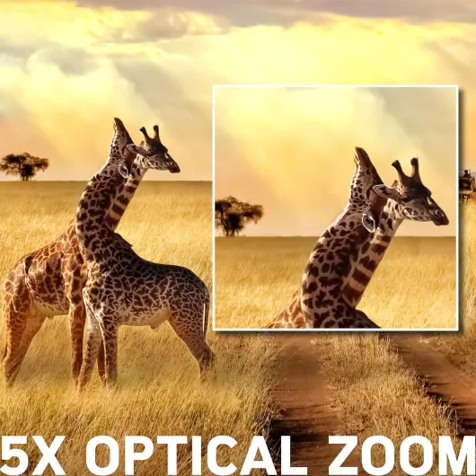 911D0Lb8 fL._AC_SL1500_