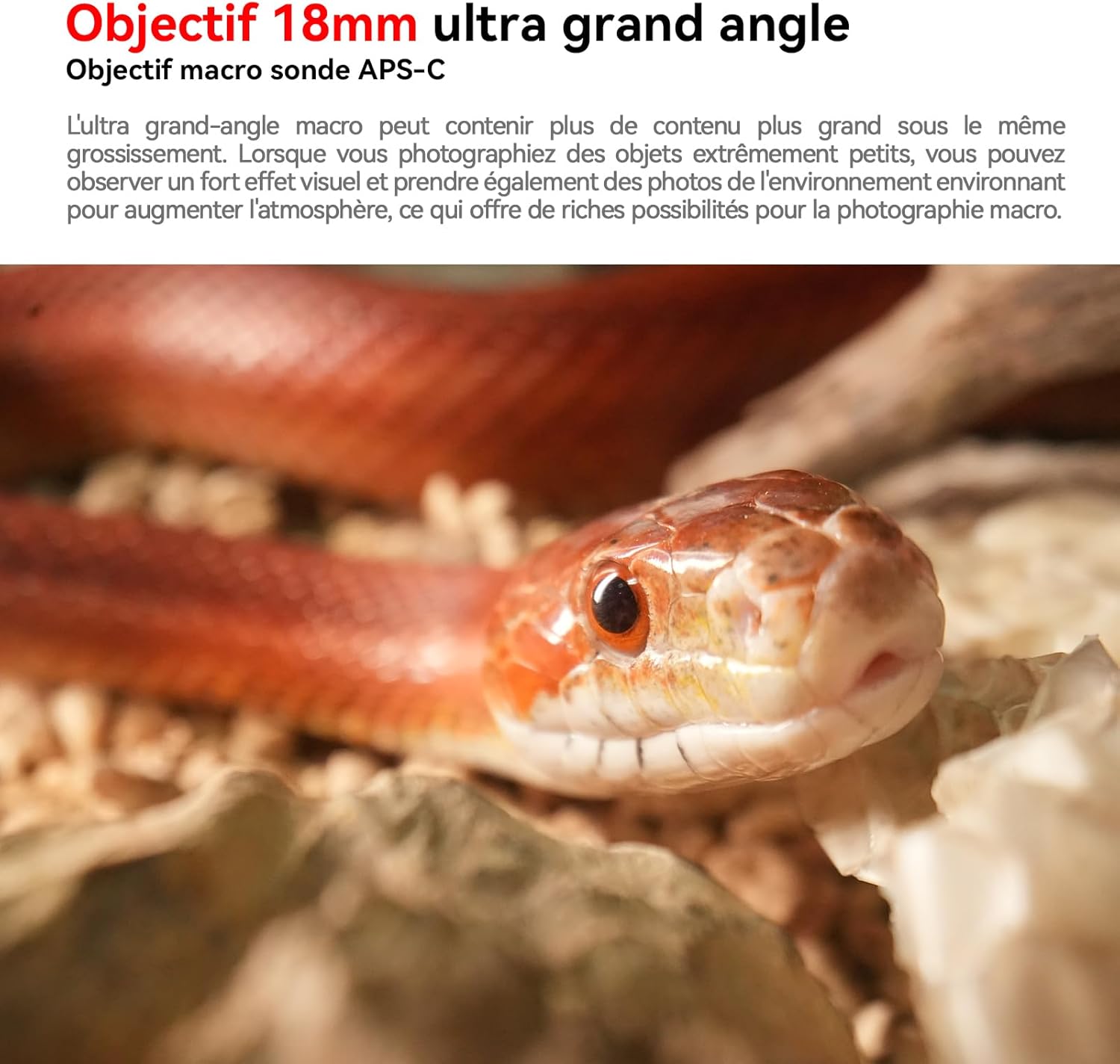 18mm F8 Objectif de sonde Macro Grand Angle APS-C 2X Anneau Lumineux intégré pour appareils Photo sans Miroir de la série Nikon Z Mount Z6, Z7, Z50, Z5, Z6II, Z7II, Z9, Z8.etc (Noir) for Nikon Z Vue directe