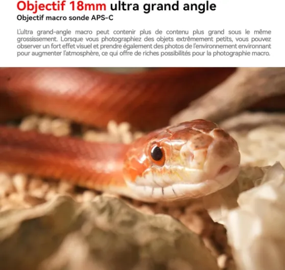 18mm F8 Objectif de sonde Macro Grand Angle APS-C 2X Anneau Lumineux intégré pour appareils Photo sans Miroir de la série Nikon Z Mount Z6, Z7, Z50, Z5, Z6II, Z7II, Z9, Z8.etc (Noir) for Nikon Z Vue directe