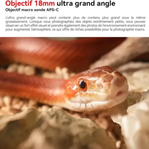Test AstrHori 18mm F8 sonde macro : un jouet de niche pour plans vraiment chelous